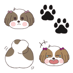 Dog Part 1: Hana-chan, a Shih Tzu dog