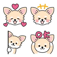 Cute Chihuahua Kaomoji 40