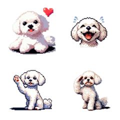 pixel art maltese poodle dog