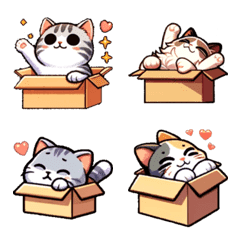 8 Varieties Cute Cats in a Box