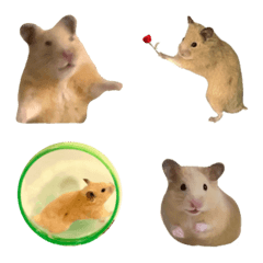 Moving hamster