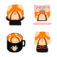 Lesser Panda