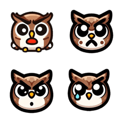 The cutest owl ever 5