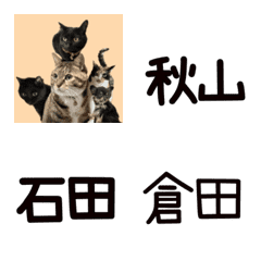 aik family name