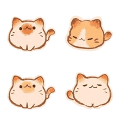 orange cat meow cat