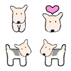 wire fox terrier Shee-chan