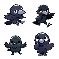 Black crows are a bit cute