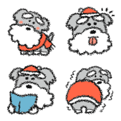 Santa costumed miniature schnauzer