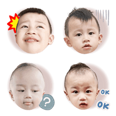 3+1寶