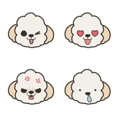 Creamy colored toy poodle Emoji