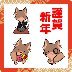 chihuahua chiwasuke (new year!)