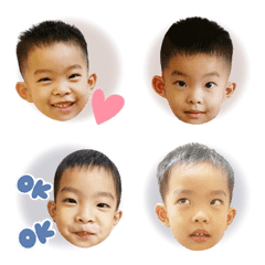 Terry表情貼