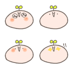 Corn and its friends