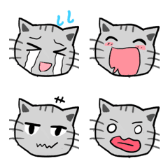 Speech cat emoji 26