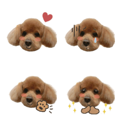 choco_emoji_