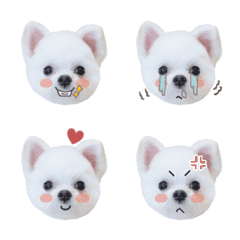 shiro_emoji