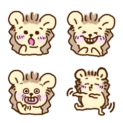 Expressive hedgehog