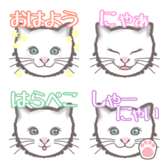 Kawaii kitty cat Bianca emoji with words