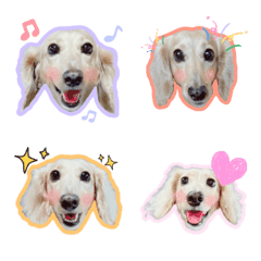 Dachushou Dog Doudou Emoji