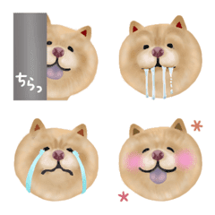 Chowchow-dog-Emoji