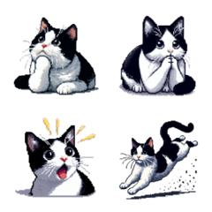 ศิลปะพิกเซลแมวสองสีสีดำและสีขาว