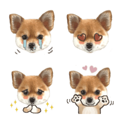 Qoomoji @qoothepomchi