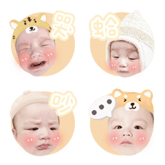 梣梣表情包