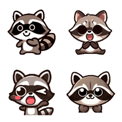 Cute little raccoon