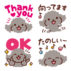 Various toy poodles_Emoji 1