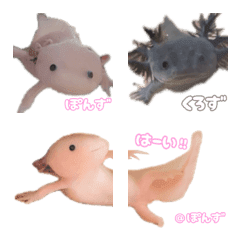 uchinoko ponkuro emoji