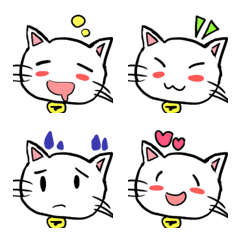 pukupuku white cat  Tamabo