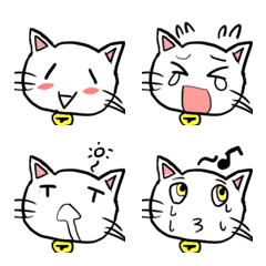 pukupuku white cat Tamabo 3