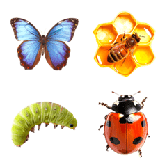 Bugs emoji
