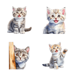 British Shorthair kitten Emoji Daily