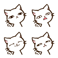 個性派猫.白1