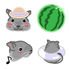 summer degu sisters