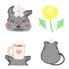 spring degu sisters