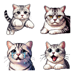Pixel art American short hair cat Emoji