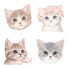 Fluffy cute cat Emoji