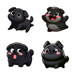 Chubby black dog