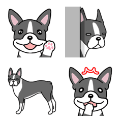 Dog emoji Boston Terrier