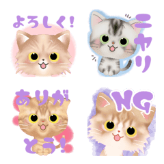 CAT Emoji-
