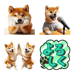 Real Shiba Inu[all year round]Funny,cute