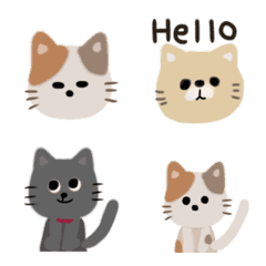 cute colorful cats