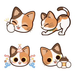 that can be used forever!calico cat