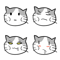 Fat gluttonous cat "Puni"2