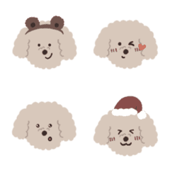 Poodle Coco