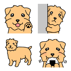 Dog Emoji Norfolk Terrier
