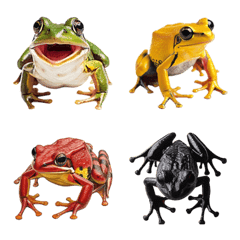 frog kaeru3