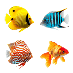 fish  emoji